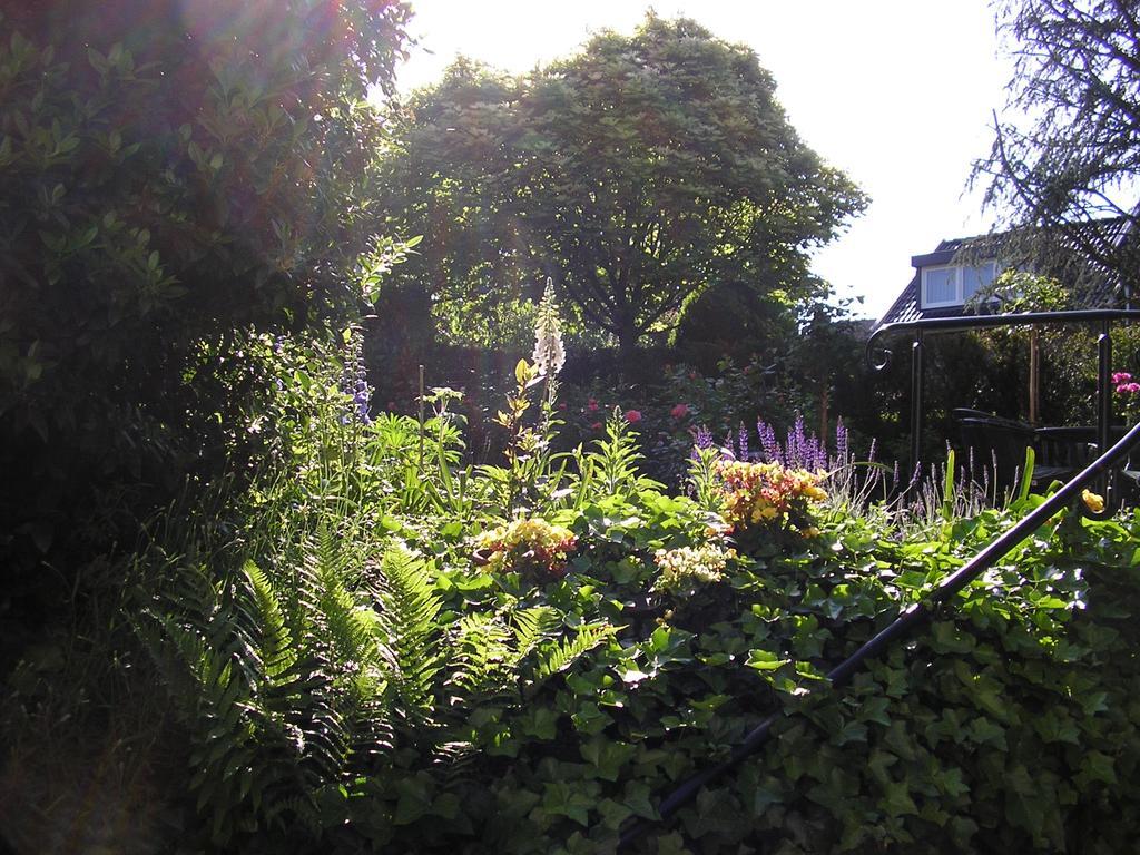 Walnut Lodge Bed & Breakfast Noorbeek Exterior photo